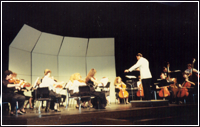 Camerata Orchestra
